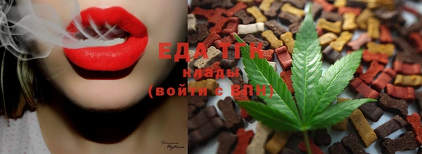 дмт Богородицк