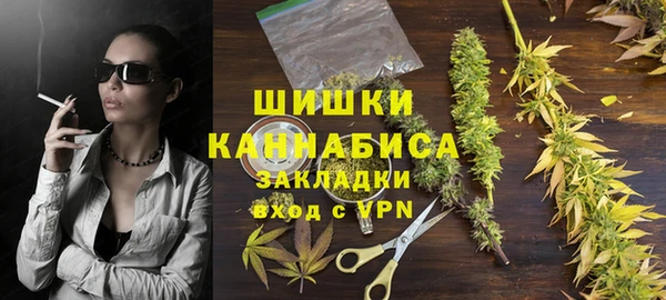 дмт Богородицк