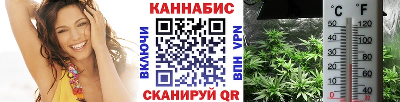 Марихуана THC 21%  Вельск 